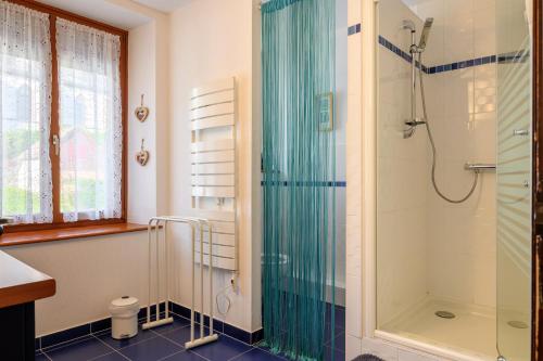 a bathroom with a shower and a glass shower at Le Gîte À Mamie in Orbey