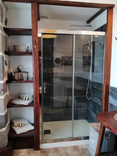 a shower with glass doors in a room at Maison des Princes de Monaco in Vic-sur-Cère