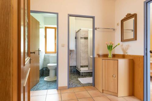 a bathroom with a shower and a toilet and a sink at Appartment Isabelle Home in Hermagor