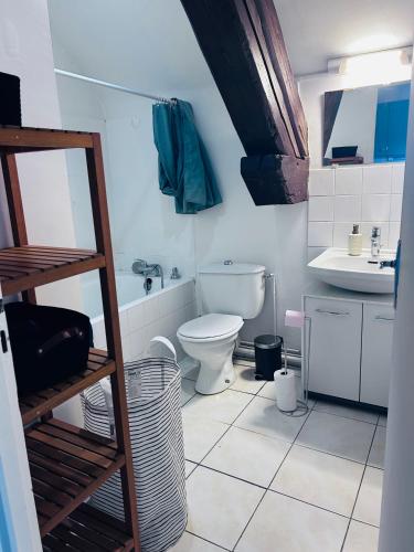 a bathroom with a toilet and a sink at Studio Pergaud in Besançon