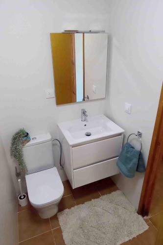 a bathroom with a toilet and a sink and a mirror at Costa Arenal - Biniplaya in Arenal d'en Castell