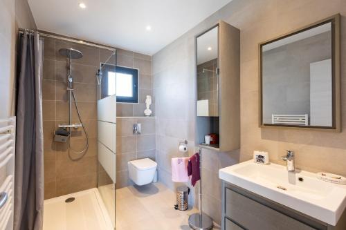a bathroom with a shower toilet and a sink at Chambre D'hôtes À Losari in Palasca
