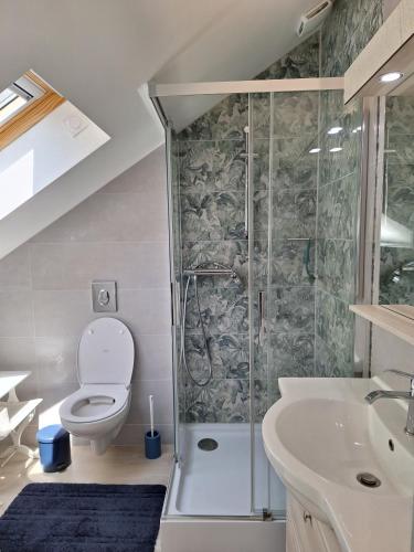 a bathroom with a shower and a toilet and a sink at Gîte du moulin de Tanis in Oisseau
