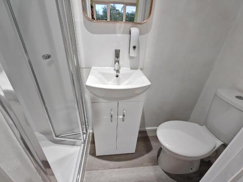 a small bathroom with a sink and a toilet at Azalea Studio - Self Contained One-Bed Studio Flat in Oxford