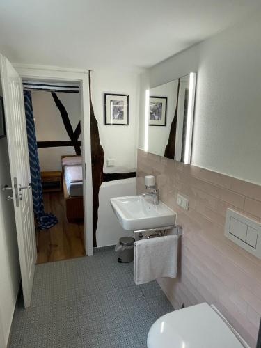 a bathroom with a sink and a toilet at Thum'scher Hof in Ortenberg