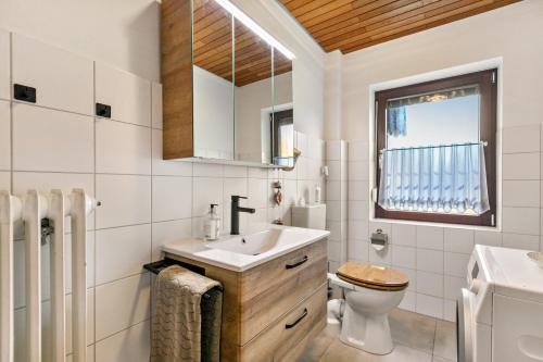 a bathroom with a sink and a toilet at Dörpshus in Rehm-Flehde-Bargen