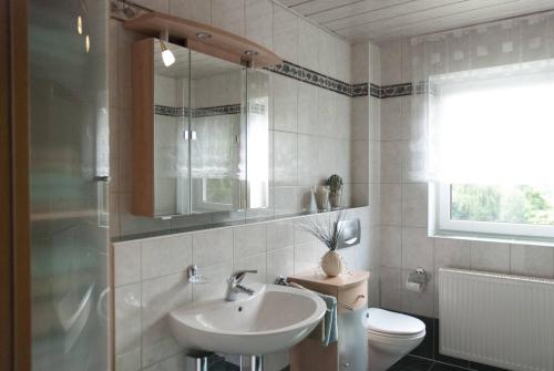 a bathroom with a sink and a toilet and a mirror at Ferienwohung Traumgarten in Obereisenheim