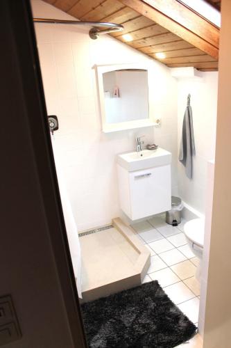 Et badeværelse på Ferienwohnung Freudenthal Bernried