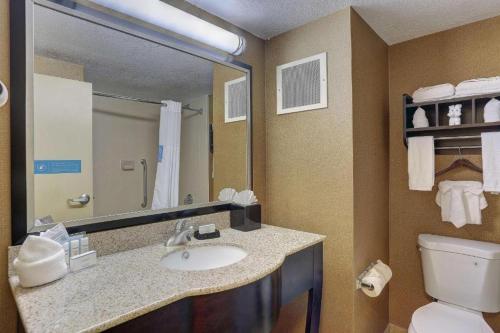 a bathroom with a sink and a toilet and a mirror at The Antioch Inn in Nashville
