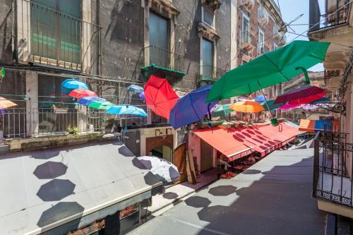 Spazio Pardo photo 53