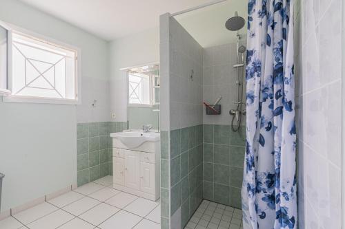 a bathroom with a shower and a sink at Le Pin Franc in Valeyrac