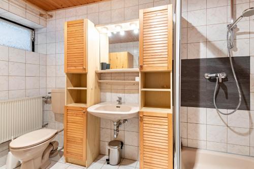 a bathroom with a toilet and a sink and a shower at Ferienwohnung Raab in Zandt