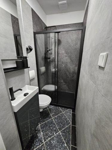 a bathroom with a shower and a toilet and a sink at Relax in der Röntgenstadt in Remscheid