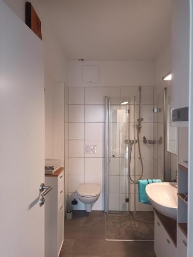 a bathroom with a shower and a toilet and a sink at Appartement Kärntner Seenland in Ledenitzen