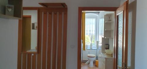 a bathroom with a toilet and a door to a room at Ferienwohnung am Huthainberg in Börnichen