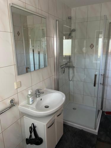 a bathroom with a sink and a shower with a mirror at Ferienwohnung Strey in Rosenow