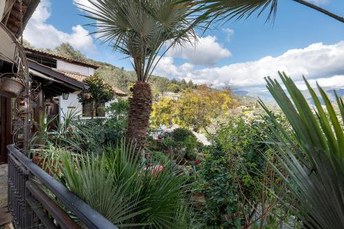 La Vecchia Dolceacqua