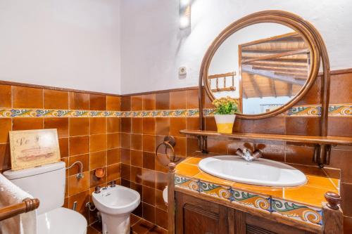 a bathroom with a toilet and a sink and a mirror at Ca'n Blanch in Biniamar