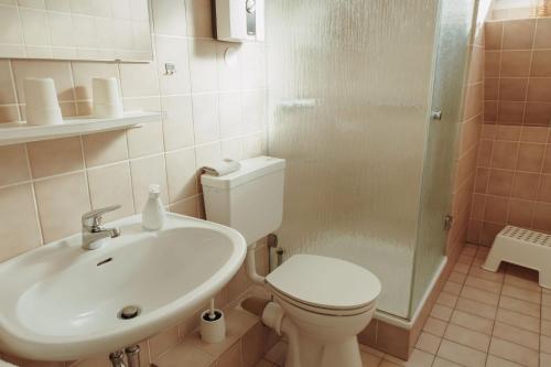 a bathroom with a sink and a toilet and a shower at Gästehaus Bröcker Wohnung 7 in Büsum