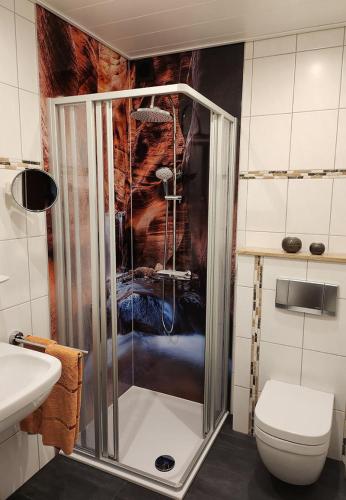 a bathroom with a shower and a toilet at Haus Nietmann_ Ferienwohnung 2 in Altenau