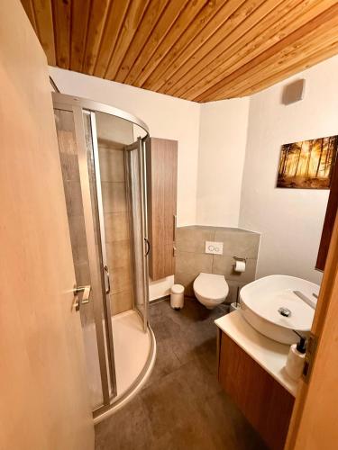 a bathroom with a shower and a toilet and a sink at Alte Schmiede in Melzow