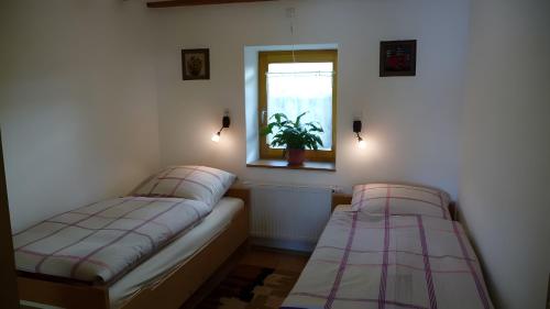 two beds in a room with a window and a plant at Ferienhaus Elfi Mit 85qm in Eisenbach