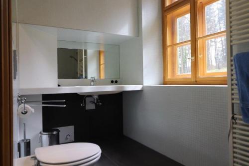 a bathroom with a white toilet and a sink at Haus Tanegg in Innsbruck