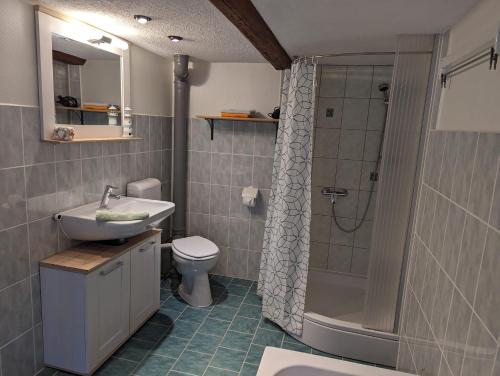 a bathroom with a sink and a toilet and a shower at Ferienwohnung Stell in Altenbrak