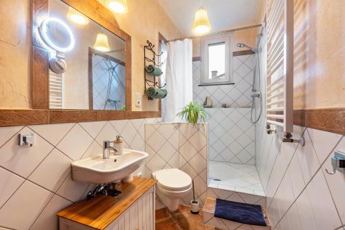a bathroom with a sink and a toilet and a shower at Apartment zur alten Post in Ulrichstein