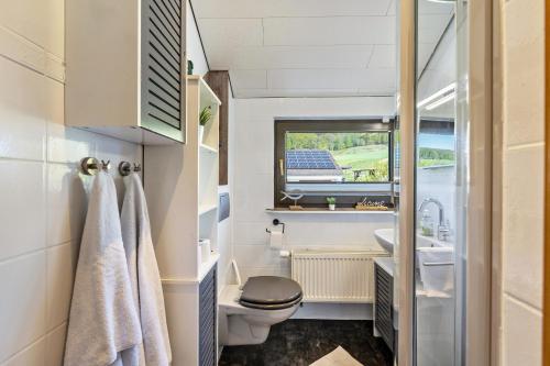 a bathroom with a toilet and a sink and a window at Ferienwohnung im Elsetal in Plettenberg
