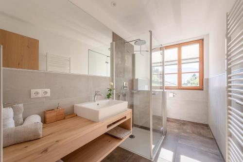 a bathroom with a sink and a glass shower at Moosbichlerhof in Marlengo