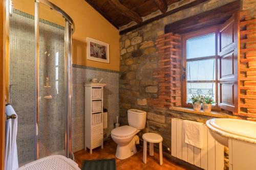 a bathroom with a toilet and a shower and a sink at Apartamento Juntana 2 in Villacarriedo