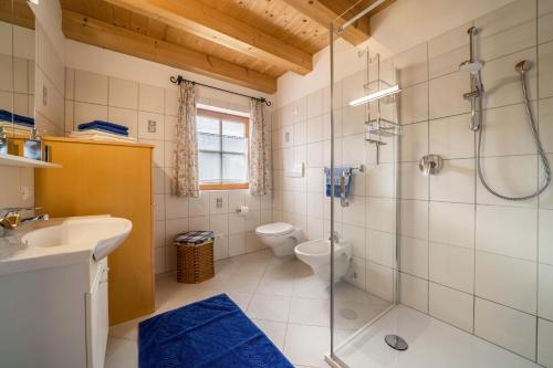 a bathroom with a shower and a toilet and a sink at Bergchalet Fuchsberger in Verano