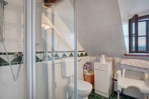a bathroom with a toilet and a glass shower at Sechtlberggut in Plain