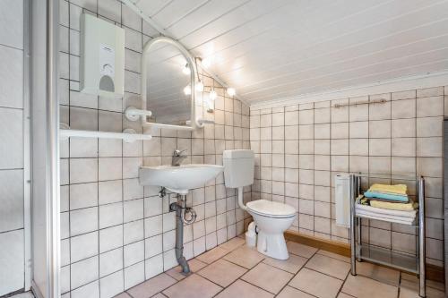 a bathroom with a sink and a toilet at Kranichblick in Lüdershagen