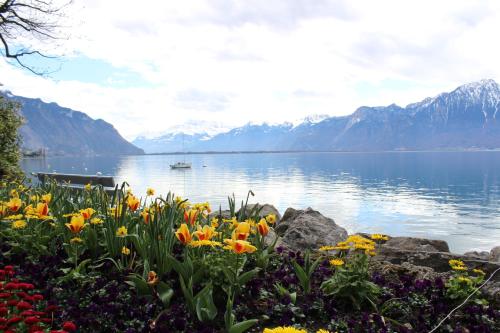 a view of a lake with flowers and mountains at Montreux Lake View Apartments and Spa - Swiss Hotel Apartments in Montreux