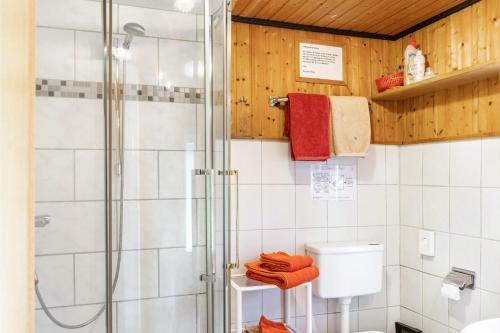 a bathroom with a shower and a toilet at Ferienhaus Strandfloh in Wangerooge