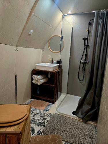 a small bathroom with a shower and a sink at La Cabane aux Chevaux in Varages