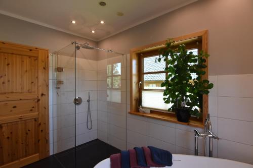 a bathroom with a shower and a window at Haus Mövenort in Lütow