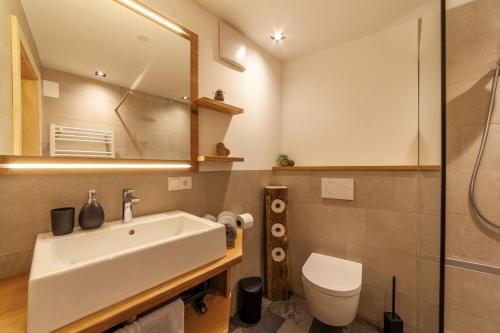 a bathroom with a sink and a toilet at Mühlanderhof Apt Piz Lad in Resia