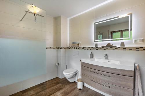 a bathroom with a toilet and a sink and a mirror at Hof Helmenhube 1 in Oberzent