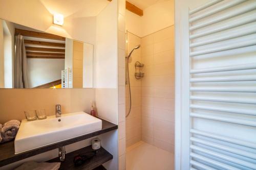 a bathroom with a sink and a mirror at Feldhof Apartment Apfeltraum in Caines