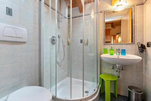a bathroom with a shower and a sink and a toilet at Appartment Bergweg in Laion