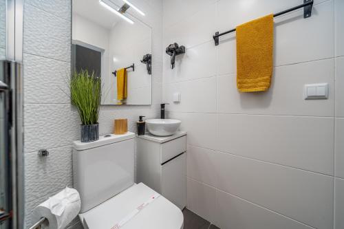 Zizas House Studio