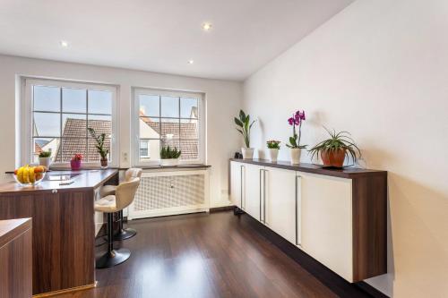 a kitchen with a counter with plants on it at Exklusives Loft mit Kamin in Bad Salzuflen