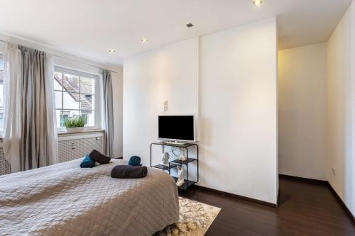 a bedroom with a bed and a flat screen tv at Exklusives Loft mit Kamin in Bad Salzuflen