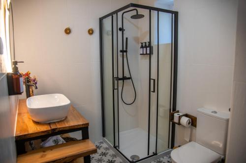 a bathroom with a shower with a sink and a toilet at Villa Jerusalém - Casa de Campo in Romeu