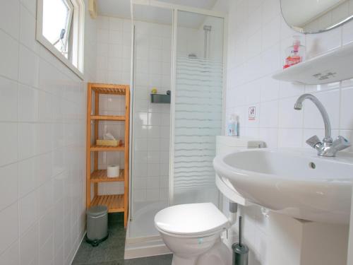 a bathroom with a white toilet and a sink at Blauwborst 24-18 in Breukelen