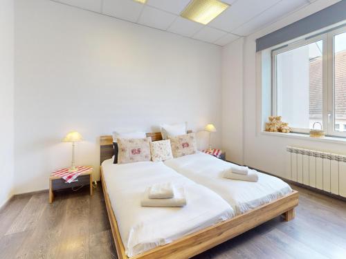Appartement Rénové, 3 Ch. avec Parking Privé, Hyper-Centre Colmar - FR-1-744-36