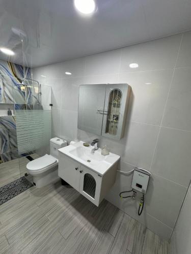 a bathroom with a sink and a toilet and a mirror at HOTEl LIRIOS DEL MAR in Santo Domingo